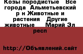 Козы породистые - Все города, Альметьевский р-н Животные и растения » Другие животные   . Марий Эл респ.
